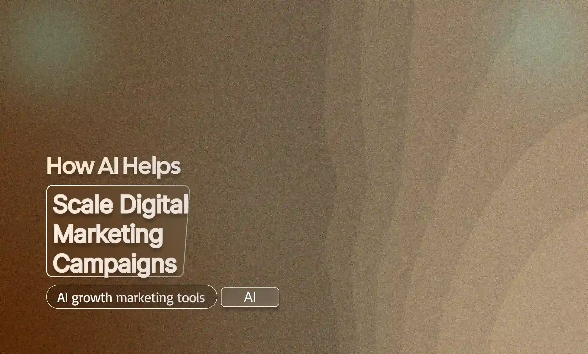 Digital Marketing Campaigns